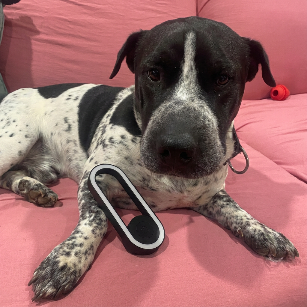 EchoBlock™ Ultrasonic Flea Defender