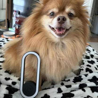 EchoBlock™ Ultrasonic Flea Defender